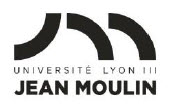 Université Jean Moulin
